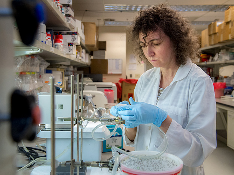 Patricia Scaraffia, an assistant professor in the School of Public Health and Tropical Medicine at Tulane University