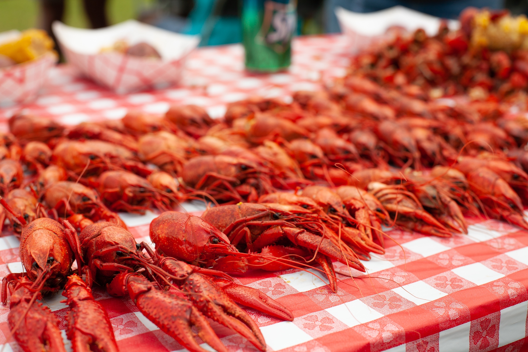 Boiled crawfish on a red and white checkered picnic table.