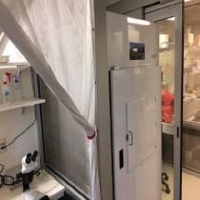 Insectary and Manipulation Suite