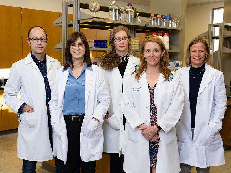 Tulane Brain Institute Director Jill Daniel (second from left) will lead a multidisciplinary team on the $14 million study. Investigators include Ricardo Mostany, associate professor of pharmacology; Andrea Zsombok (center), associate professor of physiology; Sarah Lindsey (second from right), associate professor of pharmacology; and Laura Schrader, associate professor of cell and molecular biology. (Photo by Rusty Costanza)
