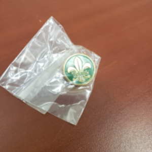 Image of green and gold Tulane lapel pin