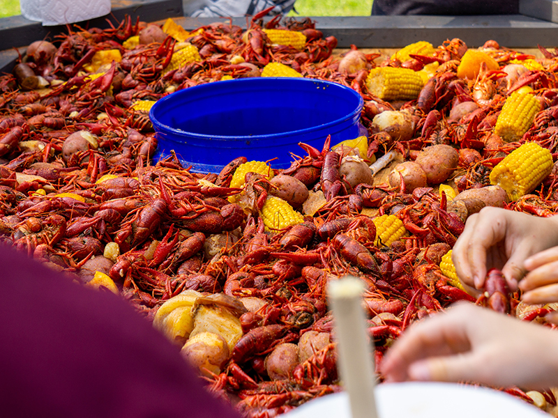 Crawfish at a Crawfish Boil 