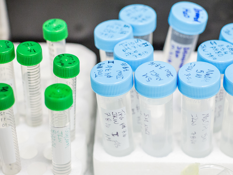 various test tubes with blue and green caps