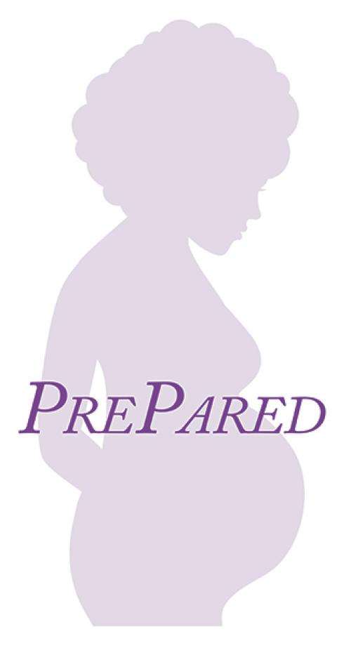 The PrePared Consortium | Tulane University School of Public Health and Tropical Medicine Silhouette of pregnant woman with text "Prepared" across her body