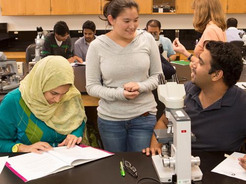 Tropical Medicine students in the lab