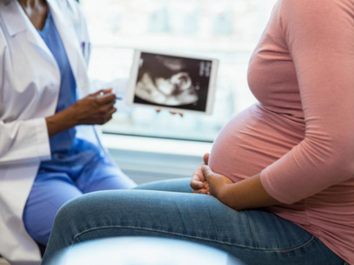 A doctor speaks with a pregnant patient