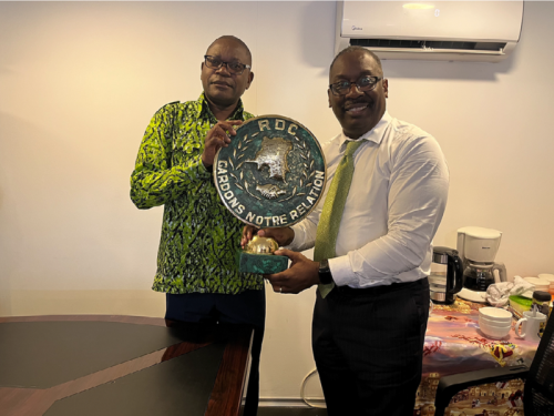 Thomas LaVeist at Kinshasa