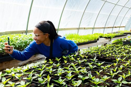 Tulane Nutrition | Tulane School of Public Health and Tropical Medicine MSPH Nutrition student taking photo of veggies growing in a green house