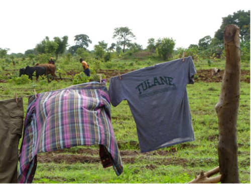 Global Scholars Program | Celia Scott Weatherhead School of Public Health and Tropical Medicine A Tulane t-shirt on a clothesline with other clothes