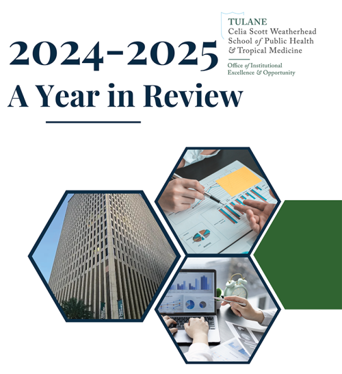 Annual report cover image with hexagonal shapes featuring images of the school and people working at the school 