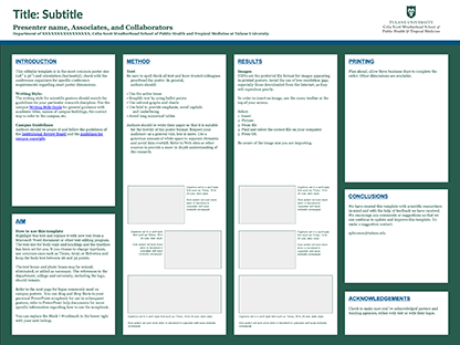 Image of the scientific poster template style one