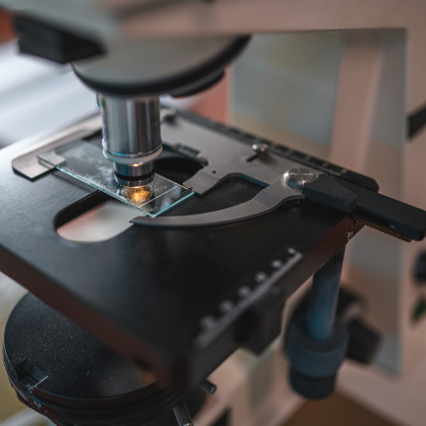Department of Epidemiology | Tulane University School of Public Health and Tropical Medicine close up of microscope with sample