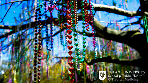 Mardi Gras Beads hanging from a tree in New Orleans