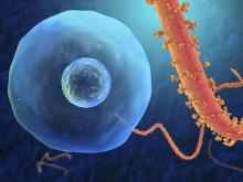 Ebola virus
